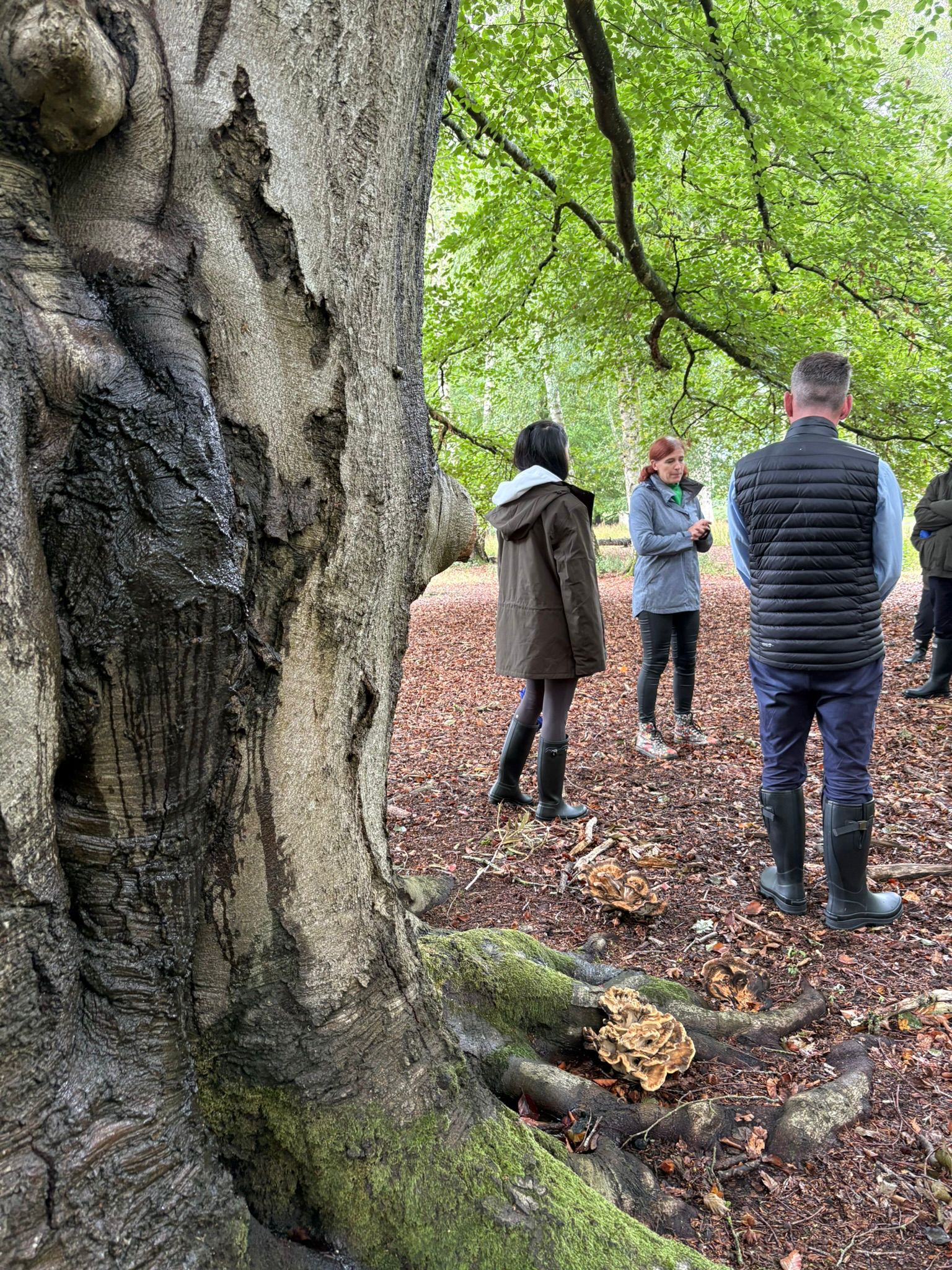 PHOTO-2025-11-10-16-35-09